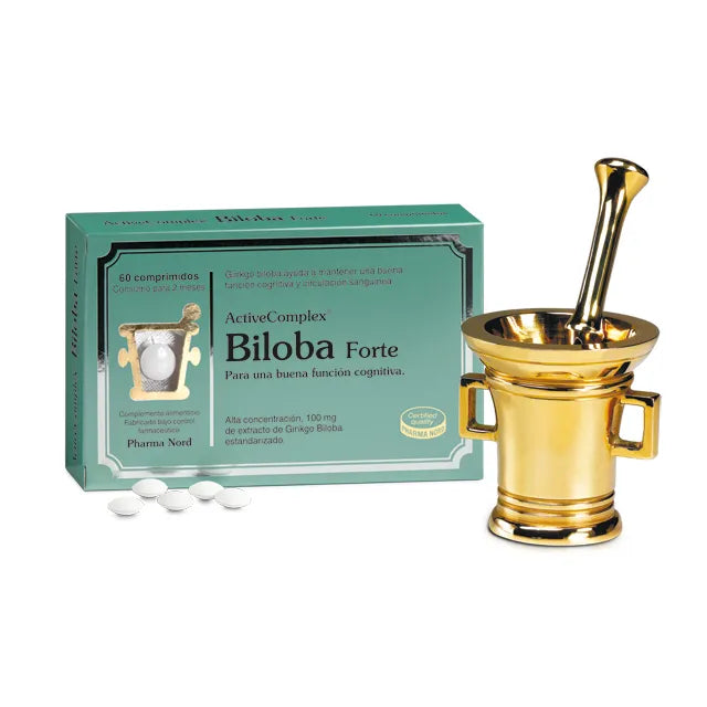Ginkgo biloba extracto estandarizado circulación cognitiva