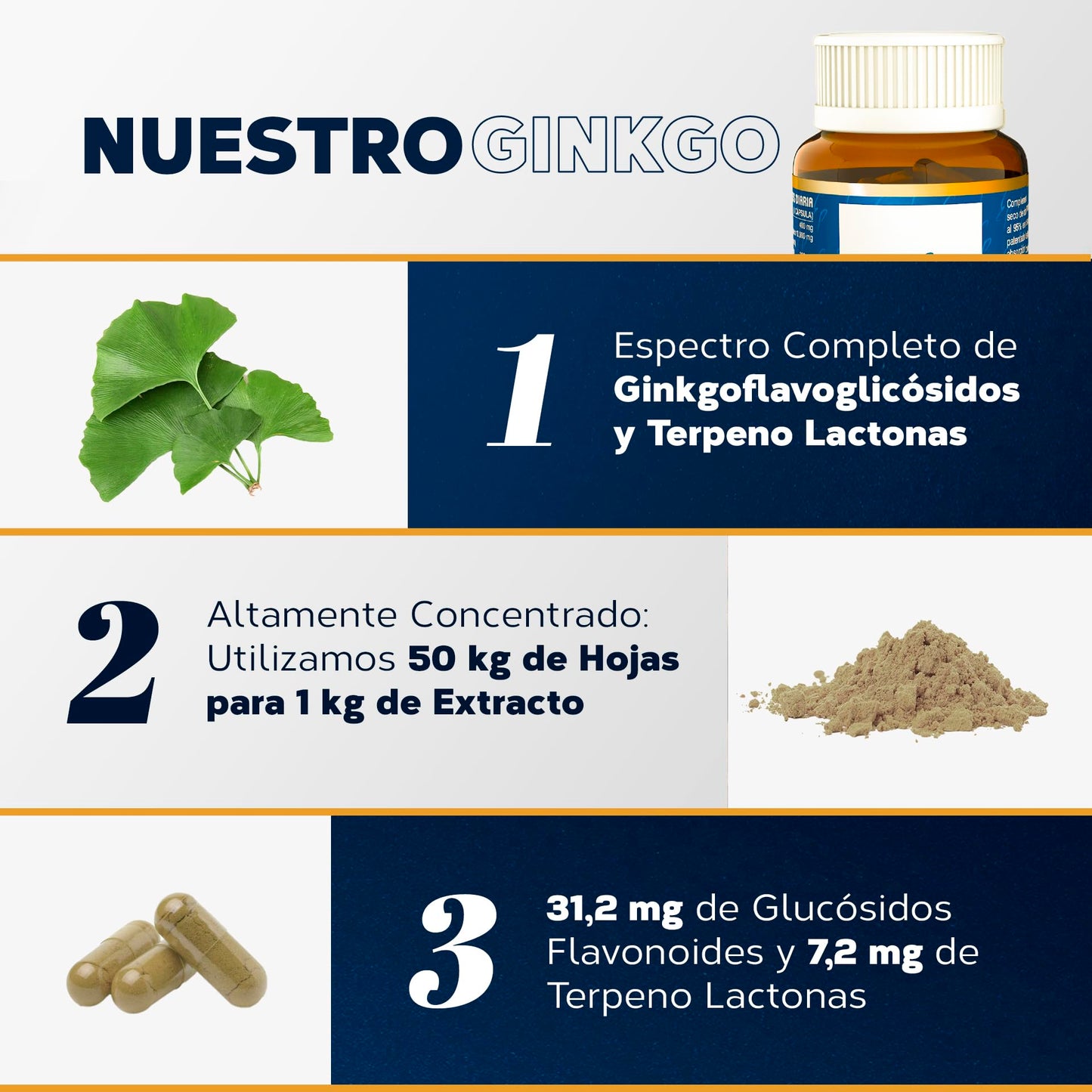Ginkgo Biloba Estado Puro 6500mg | Extracto Estandarizado y Máxima Concentración | 24% de Flavonoides y 6% de Terpenos | Memoria y Concentración + Circulación | 40 Cápsulas de Tongil