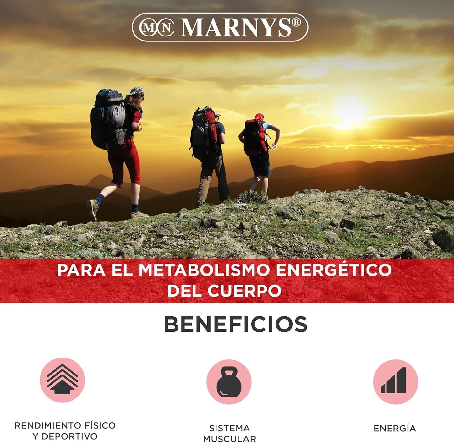 MARNYS L-Carnitina Líquida 2000mg 20 Viales