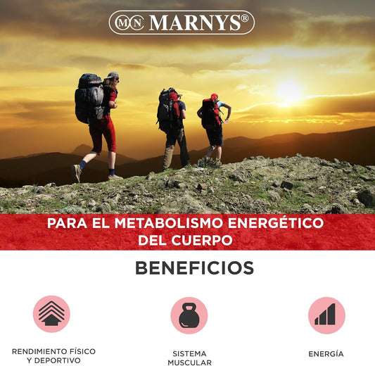 MARNYS L-Carnitina Líquida 2000mg 20 Viales