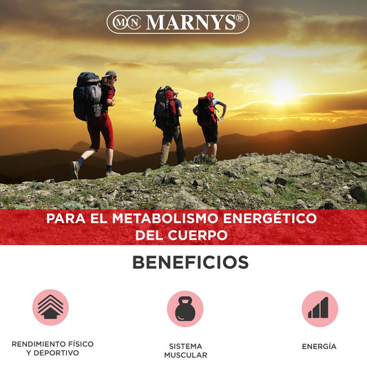 MARNYS L-Carnitina Líquida 2000mg 20 Viales