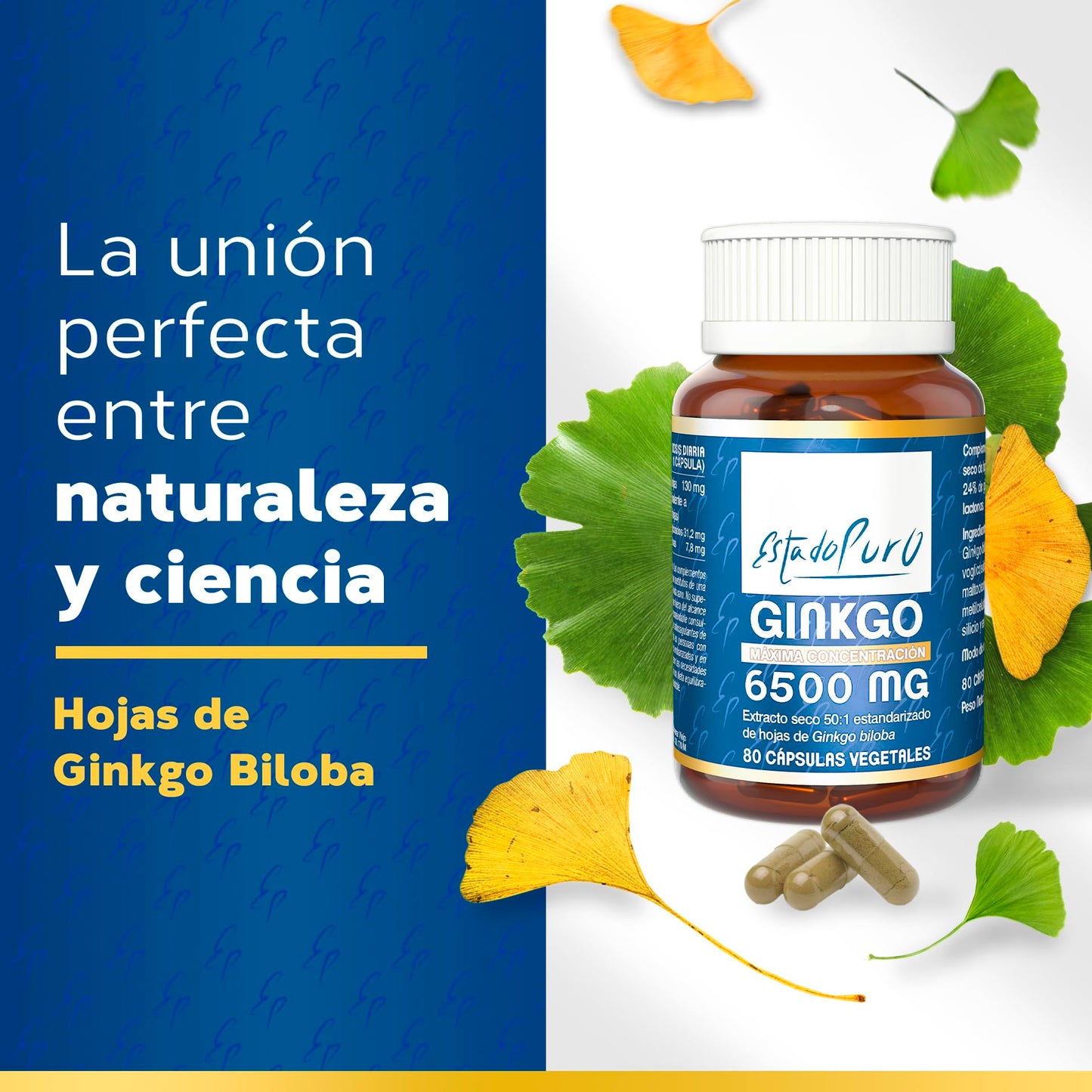 Ginkgo Biloba Estado Puro 6500mg | Extracto Estandarizado y Máxima Concentración | 24% de Flavonoides y 6% de Terpenos | Memoria y Concentración + Circulación | 40 Cápsulas de Tongil