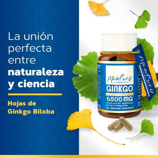 Ginkgo Biloba Estado Puro 6500mg | Extracto Estandarizado y Máxima Concentración | 24% de Flavonoides y 6% de Terpenos | Memoria y Concentración + Circulación | 40 Cápsulas de Tongil