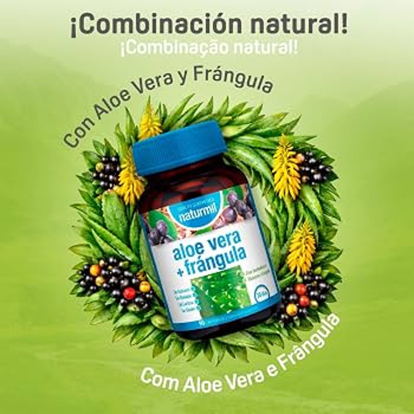 Aloe Vera 500 mg 90 Comprimidos