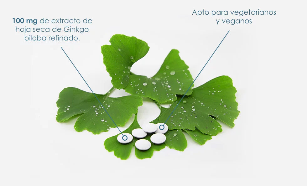 Ginkgo biloba para la circulación y el sistema cognitivo