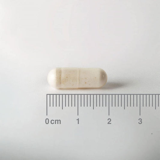 Lamberts Acidophilus Extra 10-60 Cápsulas