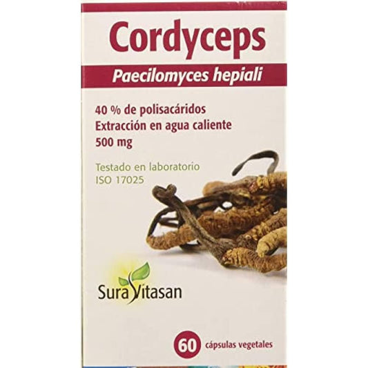 Cordyceps Extract 8:1 40% 100 g