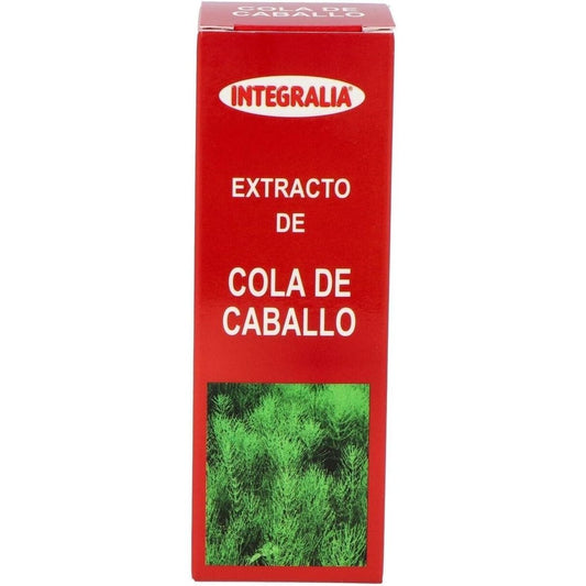 Horsetail concentrate 50 ml