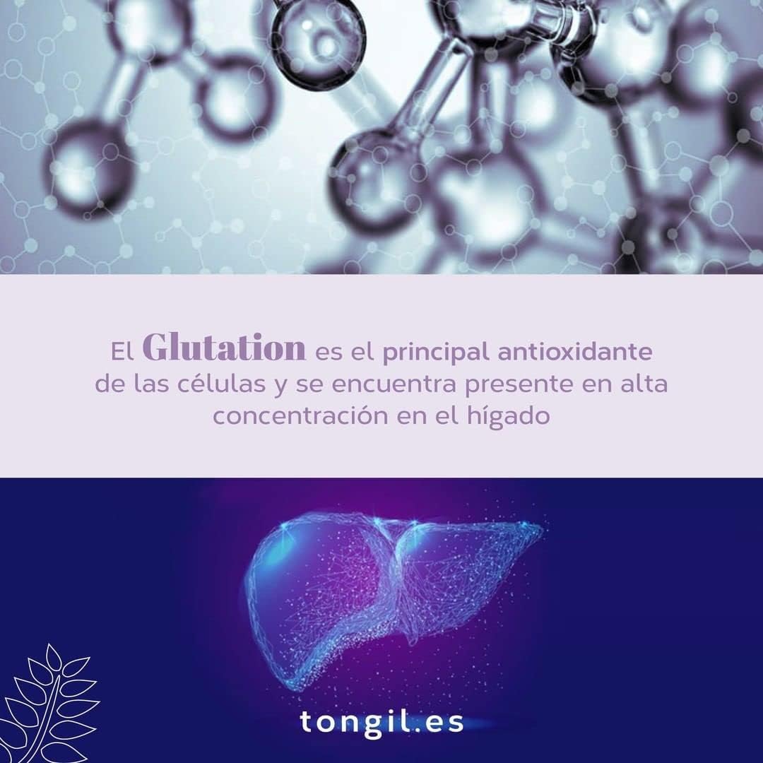 Nivelhepa 40 Capsules | Milk Thistle, Artichoke Extract, Chlorella, SAMe and Glutathione | Liver Protection and Detox | Liver Detox | Liver Detox TONGIL