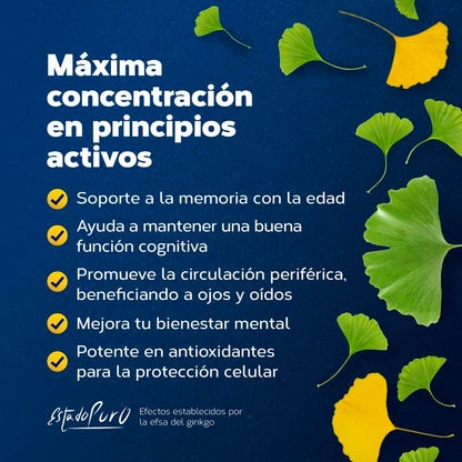 Ginkgo Biloba Estado Puro 6500mg | Extracto Estandarizado y Máxima Concentración | 24% de Flavonoides y 6% de Terpenos | Memoria y Concentración + Circulación | 40 Cápsulas de Tongil
