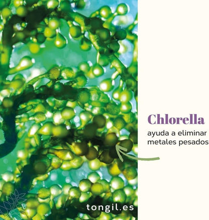 Nivelhepa 40 Capsules | Milk Thistle, Artichoke Extract, Chlorella, SAMe and Glutathione | Liver Protection and Detox | Liver Detox | Liver Detox TONGIL