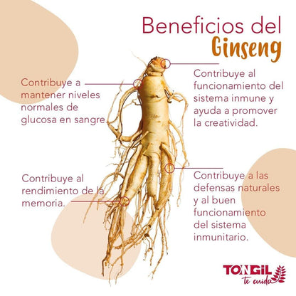 Pure Korean Ginseng, Ilhwa Quality, 500 mg, 50 Capsules in Blister | Panax Ginseng 100% No Additives | Physical & Mental Energy | Mature Roots from Own Culture & Exclusive Extraction