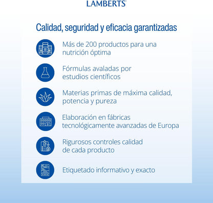 Lamberts Ginger Root 120mg - 60 Capsules