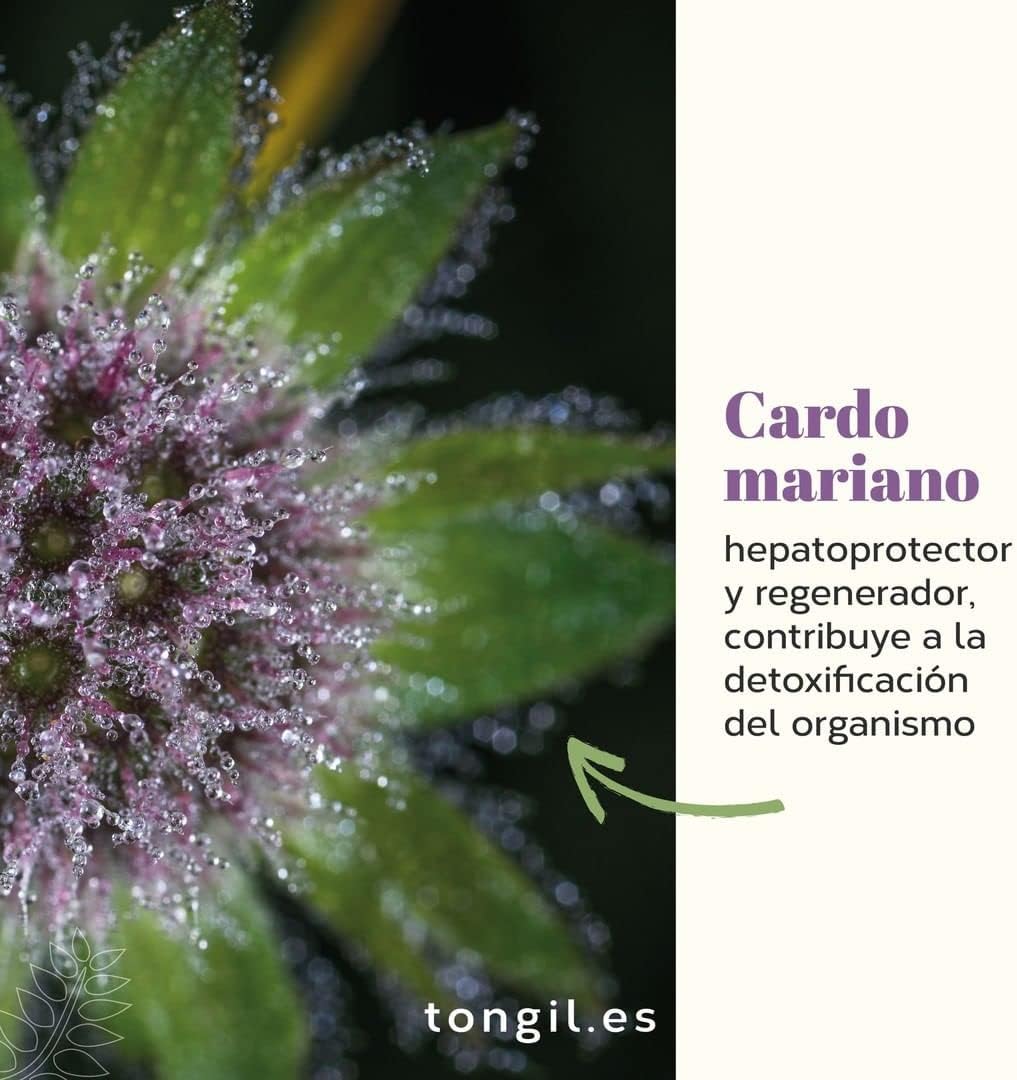 Nivelhepa 40 Capsules | Milk Thistle, Artichoke Extract, Chlorella, SAMe and Glutathione | Liver Protection and Detox | Liver Detox | Liver Detox TONGIL