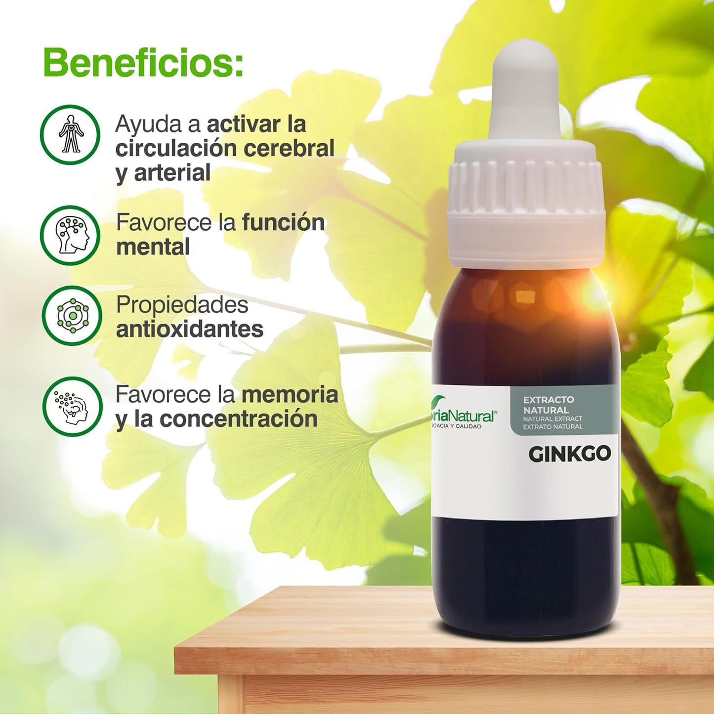 Soria Natural - BILOBA S. XXI GINKGO Extract - Food Supplement - 50 ml - Activates Your Circulation - Promotes Mental Activity - Antioxidant (PACK2)