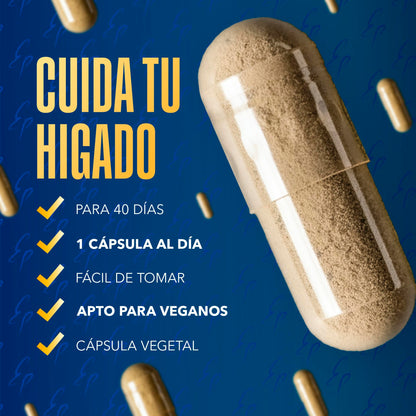 Cardo Mariano Puro 10000 mg | Extracto de semilla concentrado 25:1 con 80 % de silimarina y colina | Apoyo hepático, depuración y desintoxicación | 40 cápsulas vegetales Tongil (1)