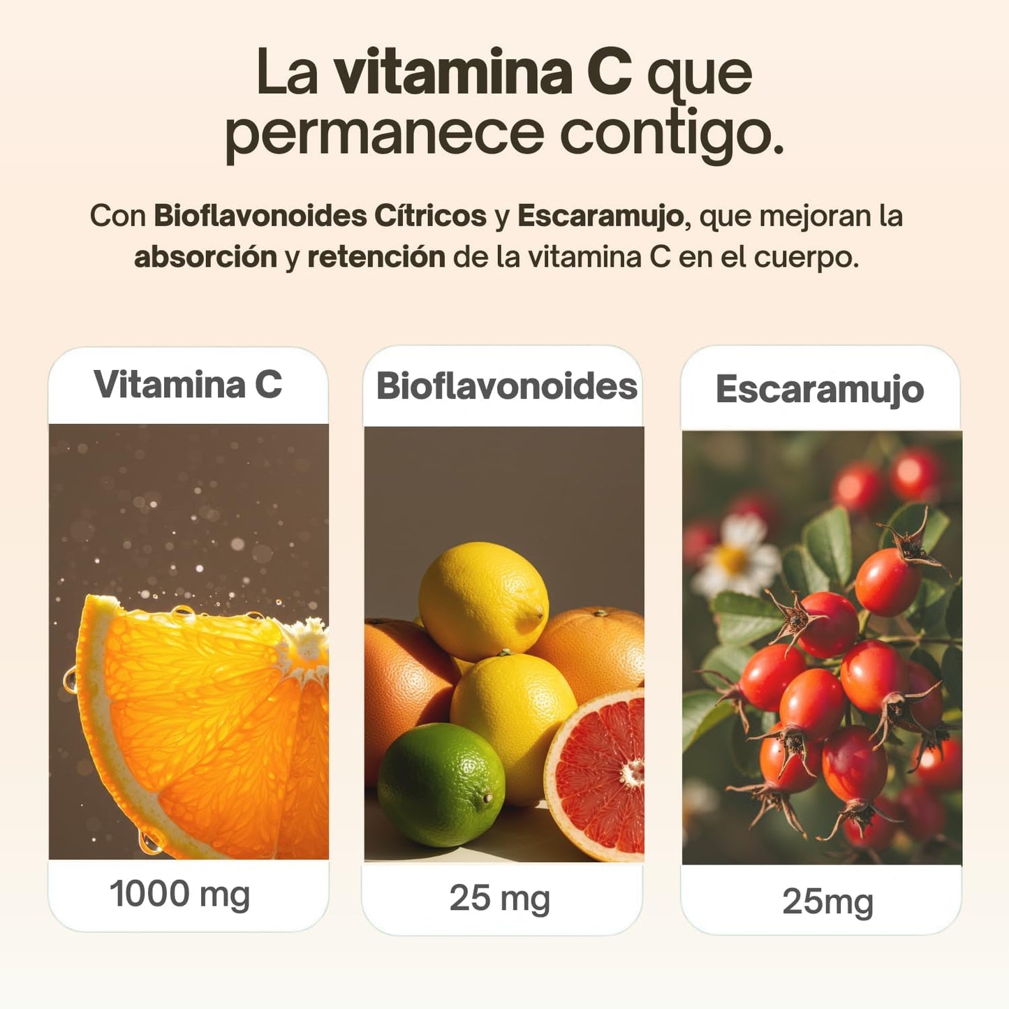 Vitamin C 1000 mg Pure State | 100 Tablets with Rosehip and Citrus Bioflavonoids | 3 Month Supply | High Absorption, Gentle on Stomach | Vegan, Gluten Free | Tongil (1)