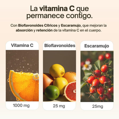 Vitamin C 1000 mg Pure State | 100 Tablets with Rosehip and Citrus Bioflavonoids | 3 Month Supply | High Absorption, Gentle on Stomach | Vegan, Gluten Free | Tongil (1)