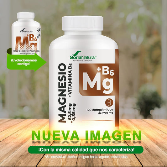 Soria Natural Magnesium + Vitamin B6 High Absorption - Sustained Release - Helps Improve Energy, Sleep, Brain Health and Nerve Function - 120 Tablets
