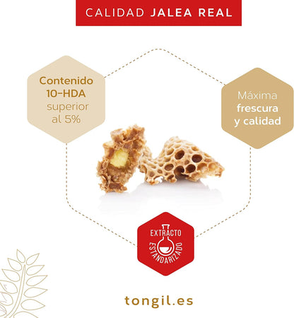 Royal Jelly with Ginseng - Aligelfort Vital 55 Pearls - Korean Ginseng, Royal Jelly and Wheat Germ | Vitality in your daily life | de Tong-il