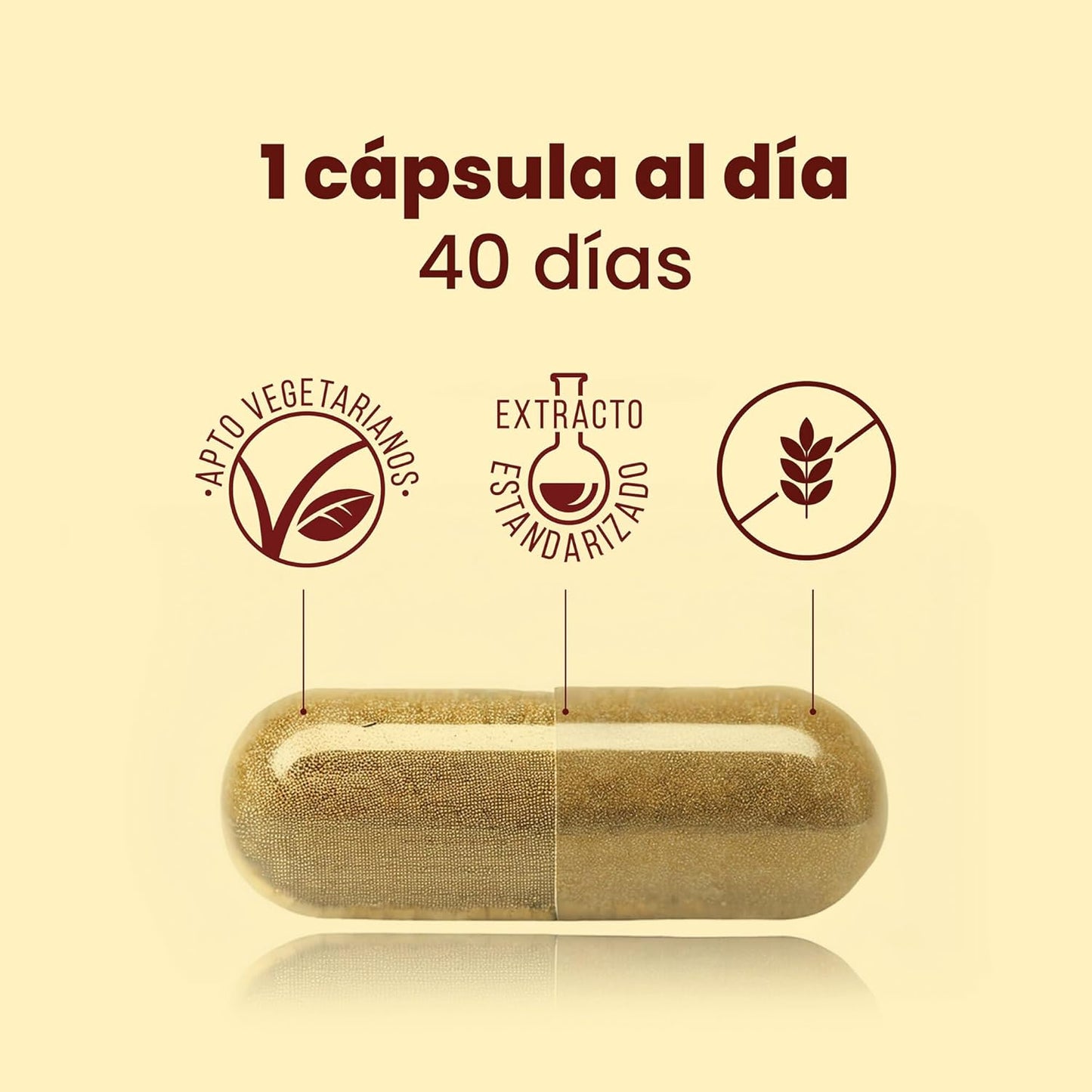 Adult Immune Defenses | Echinacea Propolis and Vitamin C + Reishi + Agaricus + Vitamin D+ Copper + Iron | Vitamins Immune System | 40 Capsules Apicol Tongil