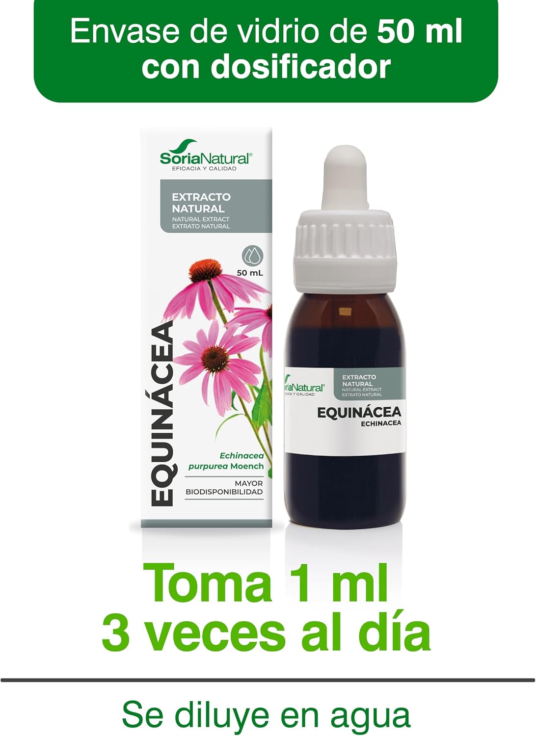 Soria Natural Echinacea Extract - Strengthens your defenses naturally - Supports the immune system - 100% Natural Plant Extract High Absorption - Pack of 2 x 50ml