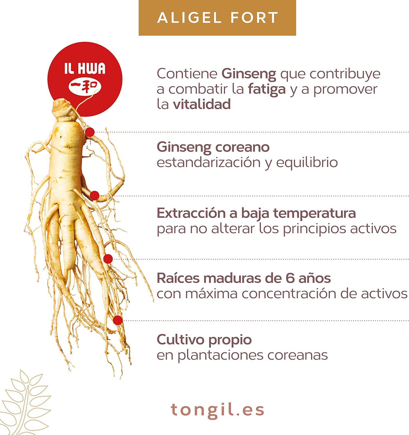 Royal Jelly with Ginseng - Aligelfort Vital 55 Pearls - Korean Ginseng, Royal Jelly and Wheat Germ | Vitality in your daily life | de Tong-il