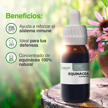 Soria Natural Echinacea Extract - Strengthens your defenses naturally - Supports the immune system - 100% Natural Plant Extract High Absorption - Pack of 2 x 50ml