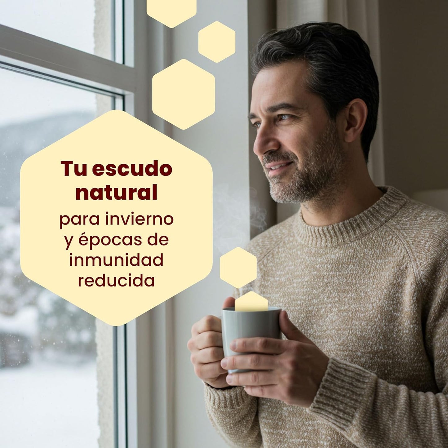 Adult Immune Defenses | Echinacea Propolis and Vitamin C + Reishi + Agaricus + Vitamin D+ Copper + Iron | Vitamins Immune System | 40 Capsules Apicol Tongil