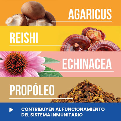 Adult Immune Defenses | Echinacea Propolis and Vitamin C + Reishi + Agaricus + Vitamin D+ Copper + Iron | Vitamins Immune System | 40 Capsules Apicol Tongil