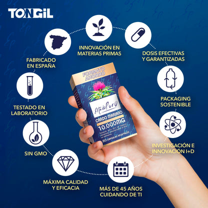 Cardo Mariano Puro 10000 mg | Extracto de semilla concentrado 25:1 con 80 % de silimarina y colina | Apoyo hepático, depuración y desintoxicación | 40 cápsulas vegetales Tongil (1)