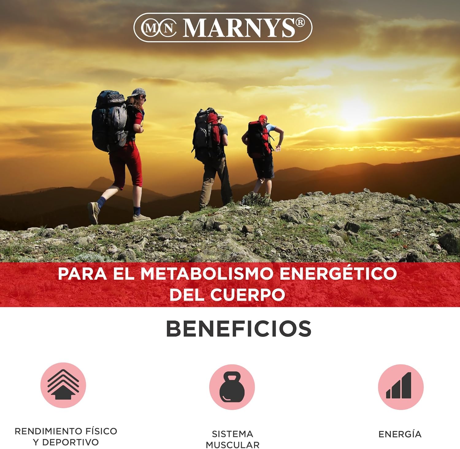 MARNYS L-Carnitina Líquida 2000mg 20 Viales
