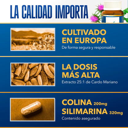 Cardo Mariano Puro 10000 mg | Extracto de semilla concentrado 25:1 con 80 % de silimarina y colina | Apoyo hepático, depuración y desintoxicación | 40 cápsulas vegetales Tongil (1)