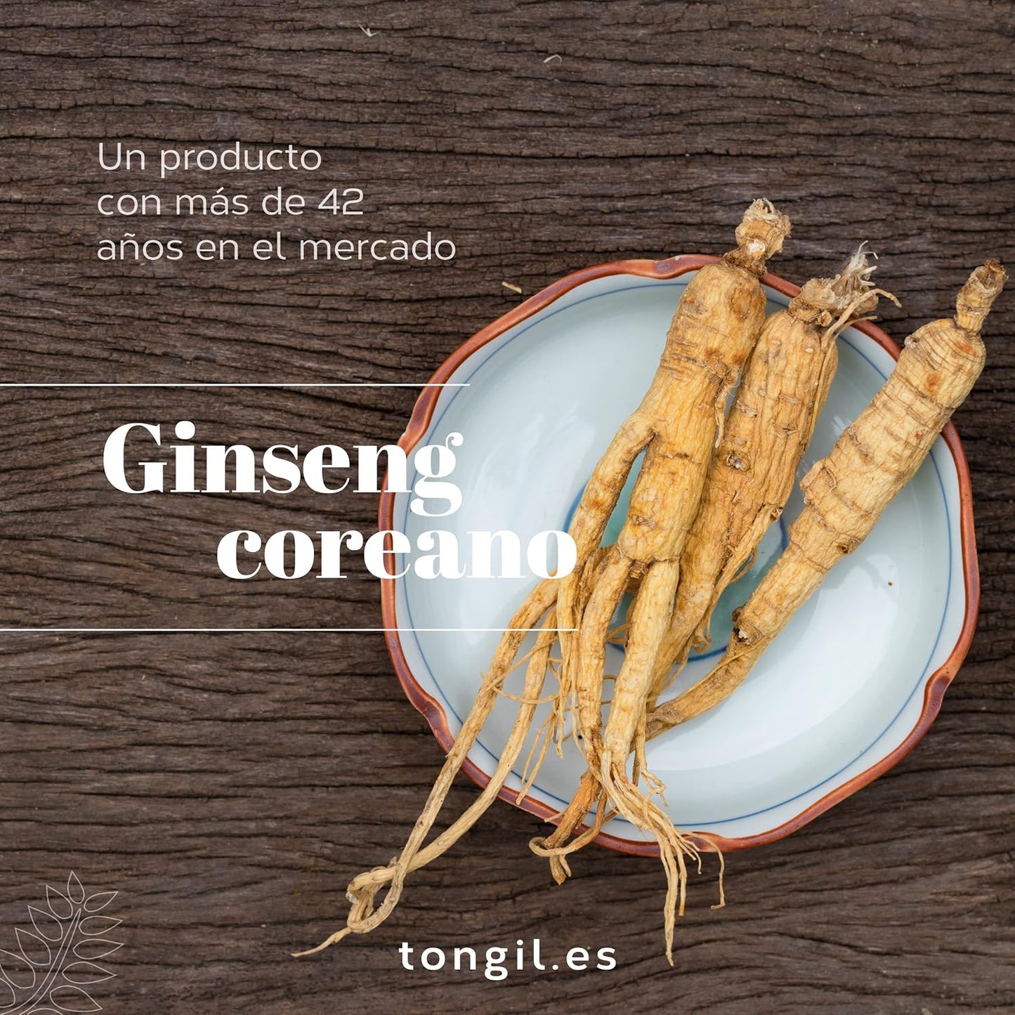 Royal Jelly with Ginseng - Aligelfort Vital 55 Pearls - Korean Ginseng, Royal Jelly and Wheat Germ | Vitality in your daily life | de Tong-il