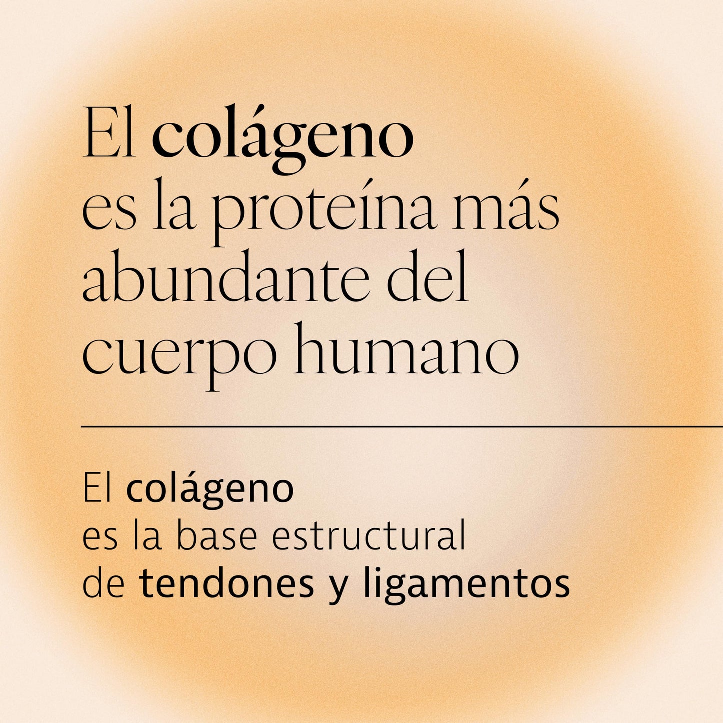 PLAMECA - Curarti Colagtium, Vegetable Capsules with Vitamin C and Curcumin, for Bones, Muscles and Joints, with Hyaluronic Acid, Marine Collagen and Ovomet- 30 Tablets