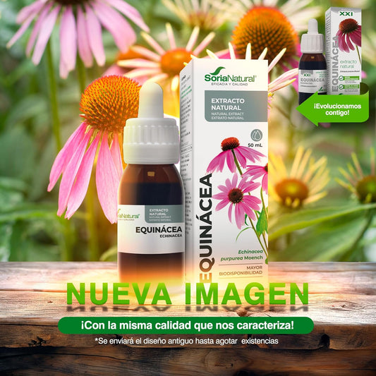Soria Natural Echinacea Extract - Strengthens your defenses naturally - Supports the immune system - 100% Natural Plant Extract High Absorption - Pack of 2 x 50ml