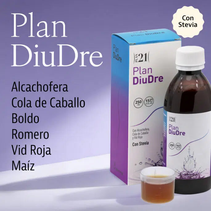 DiuDre Plan
