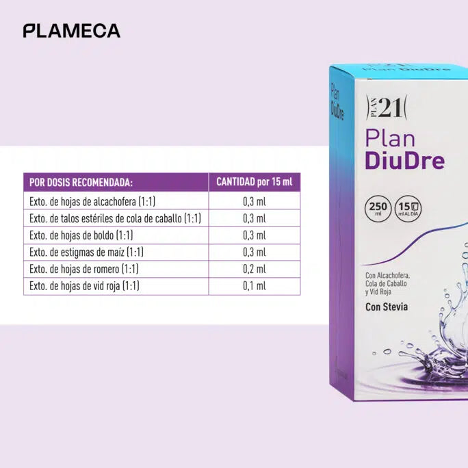 DiuDre Plan
