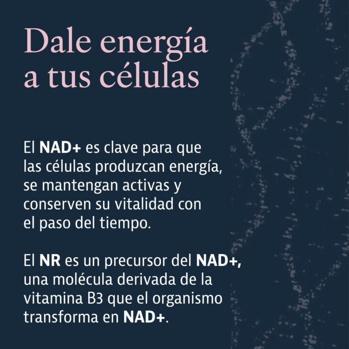 Vital Aging Plameca - Ingredientes activos NMN Fisetina CoQ10